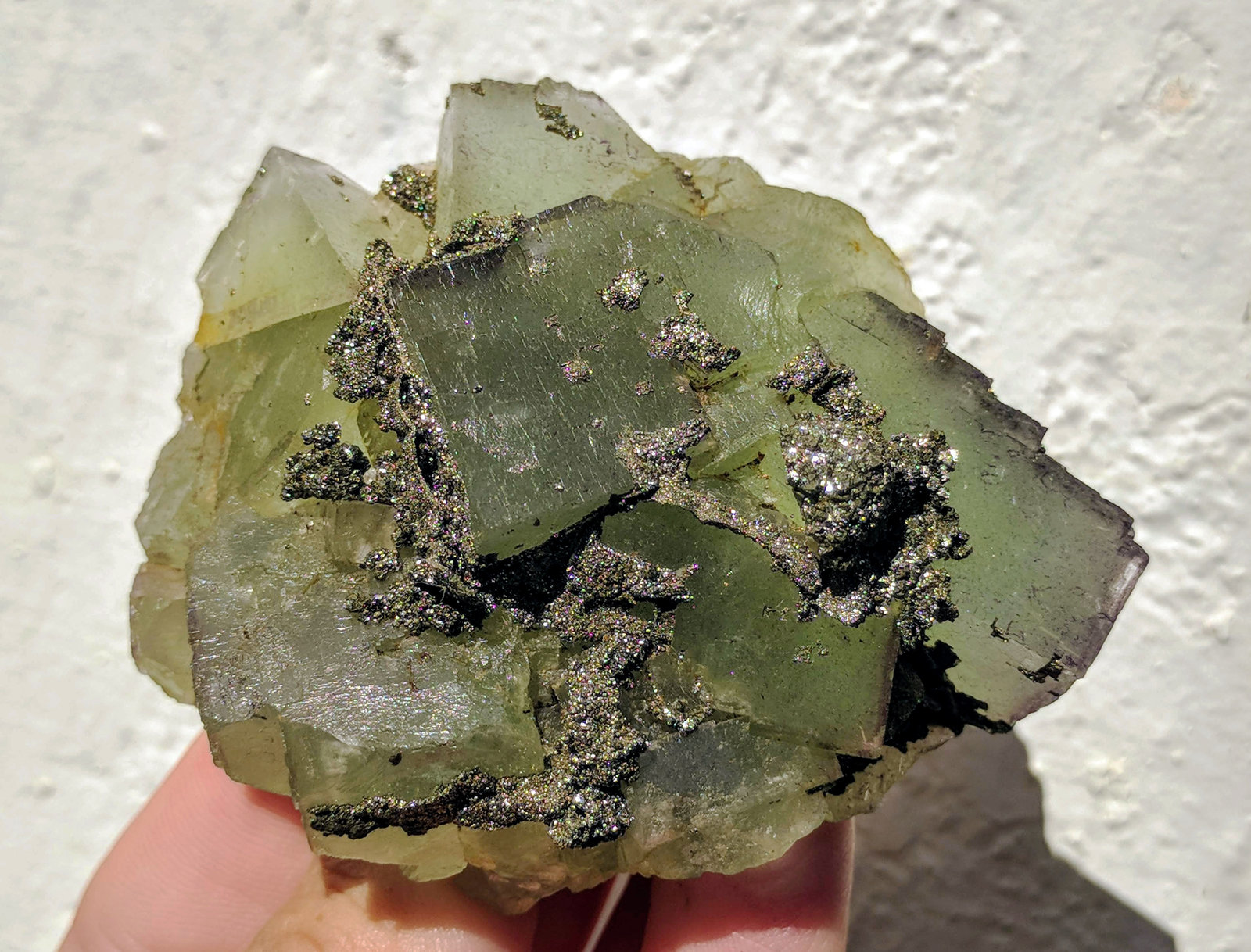Fluorita, Pirita
7,5 x 6,0 cm.
(Autor: carles)