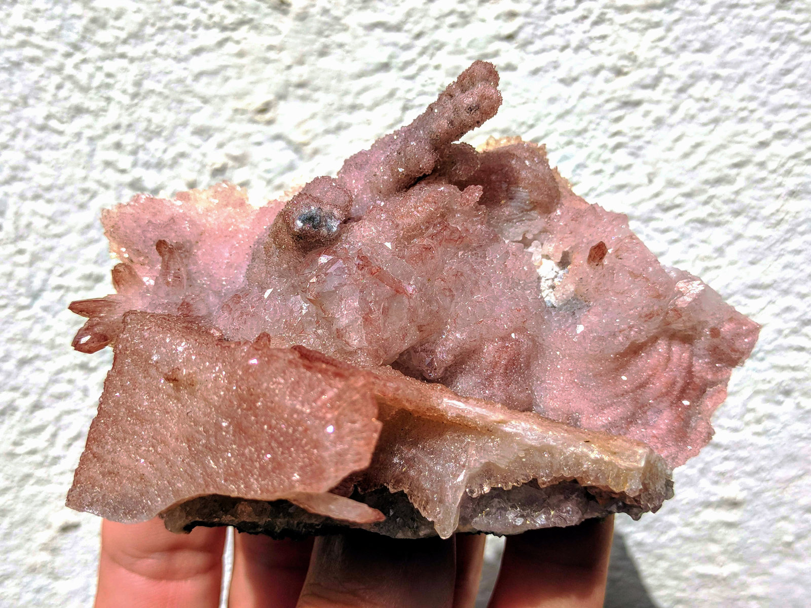 Cuarzo (variedad amatista) pseudomórfico de Fluorita
9,5 x 7,0 cm.
(Autor: carles)