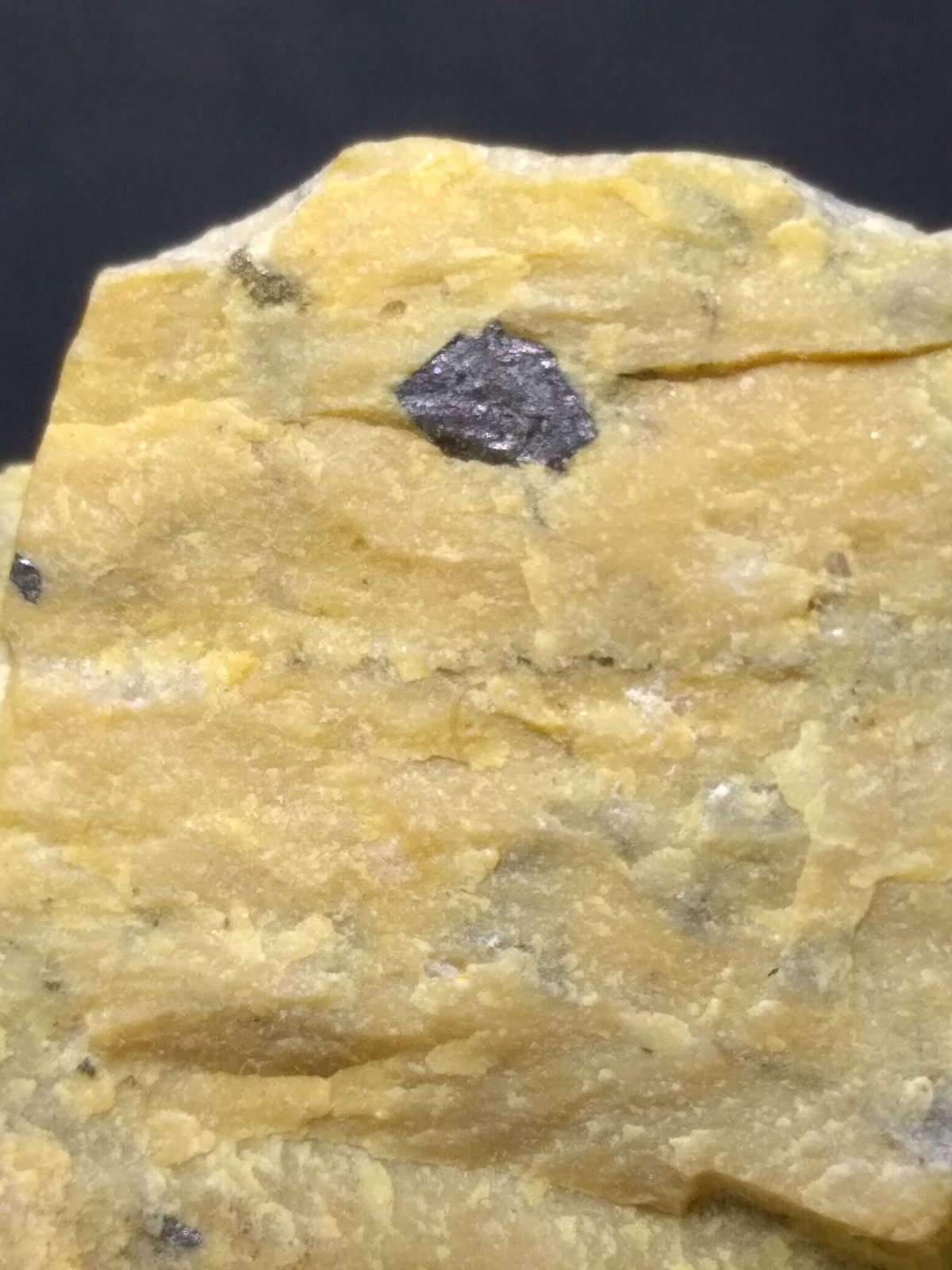 Versiliaita
45 x 30 mm
(Autor: Sante Celiberti)