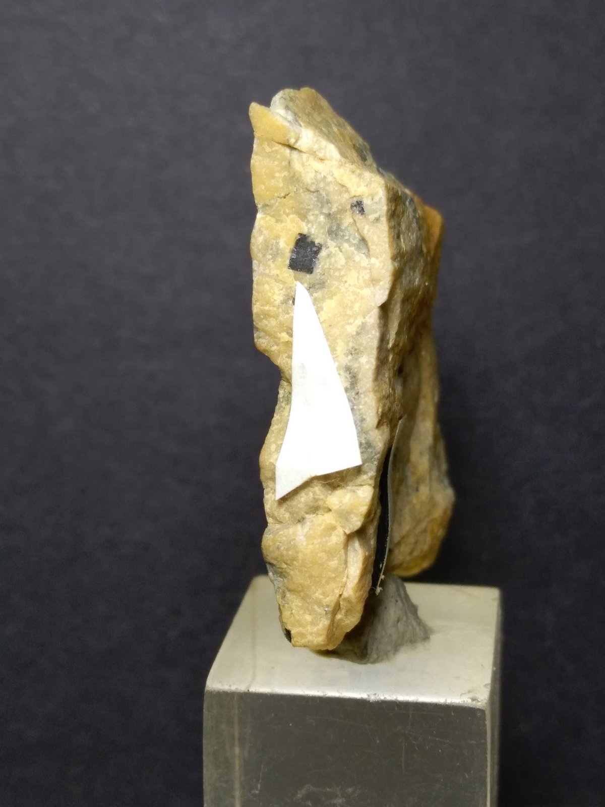 Versiliaita
45 x 30 mm
(Autor: Sante Celiberti)