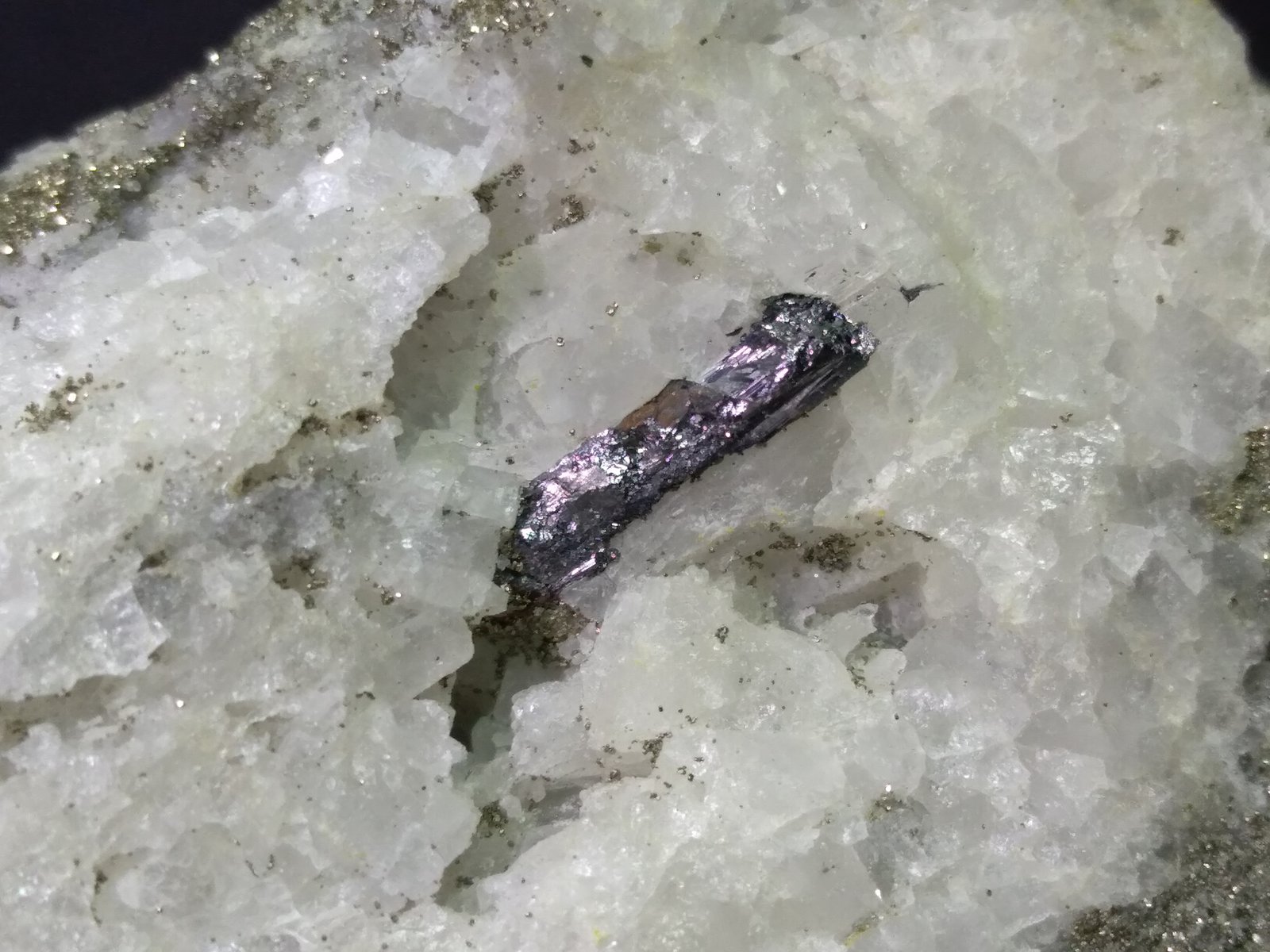 Carducciita, Argentotennantita-(Zn), Pirita
92 x 48 mm
(Autor: Sante Celiberti)