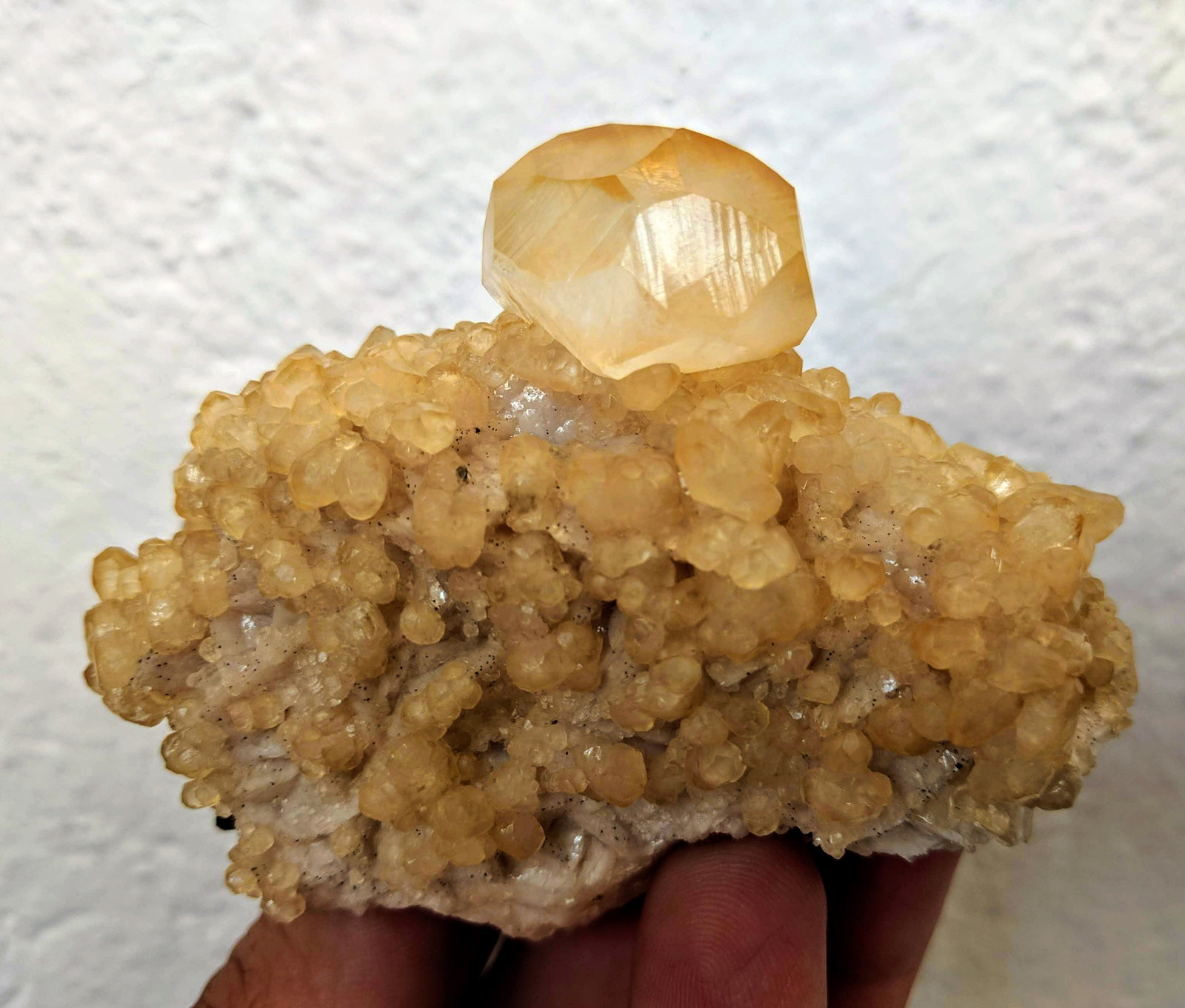 Calcita, Dolomita
7.5 × 5.9 × 4.5 cm
(Autor: carles)