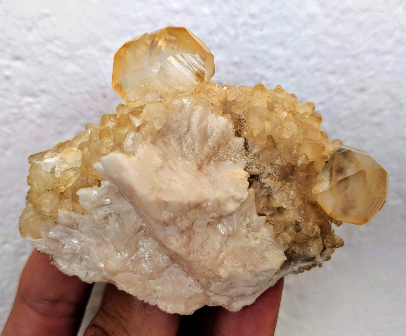 Calcita, Dolomita
7.5 × 5.9 × 4.5 cm
(Autor: carles)