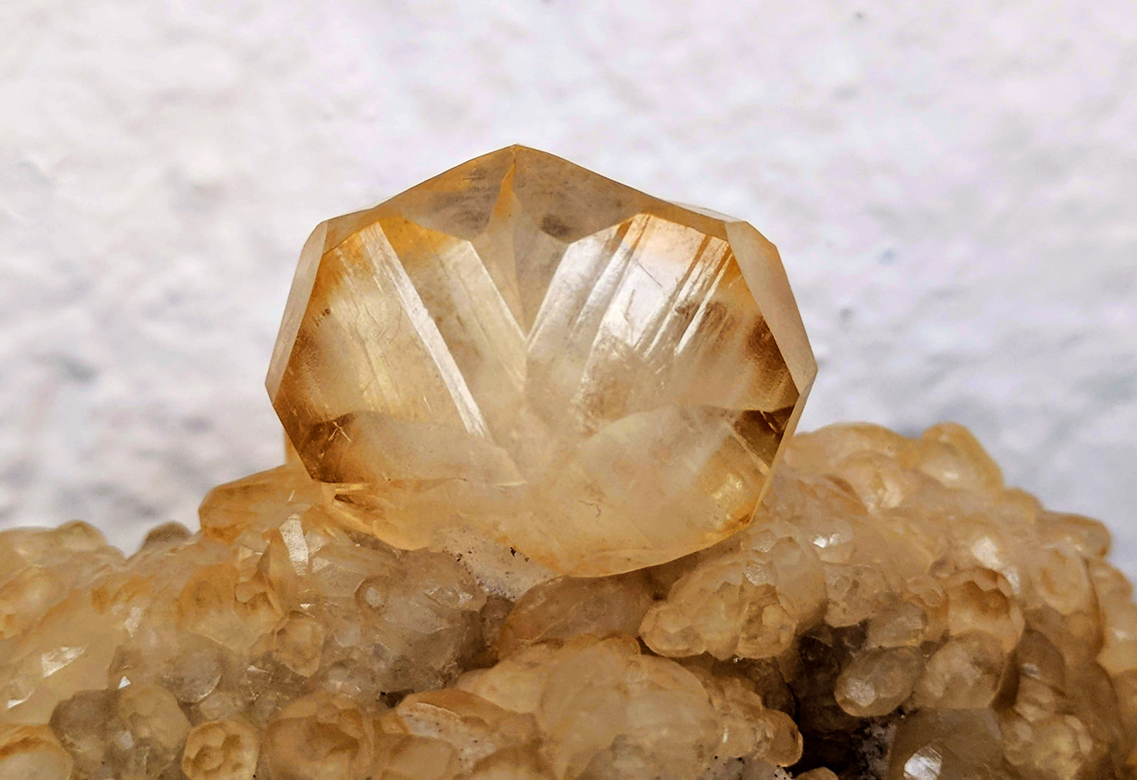 Calcita
Cristal principal 2.3 × 1.8 cm.
(Autor: carles)