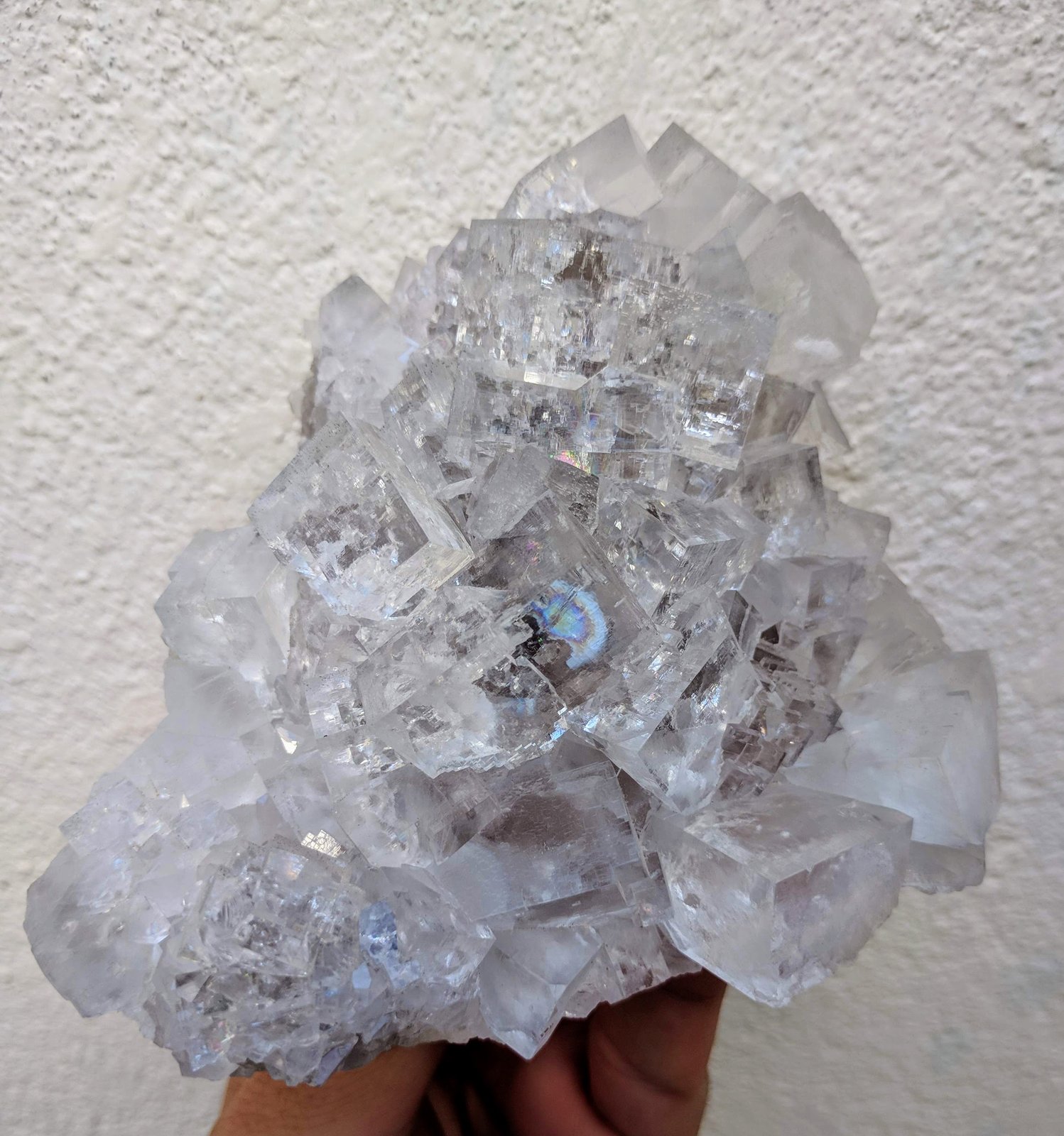 Fluorita
10,0 x 10,7 x 4,5 cm
(Autor: carles)