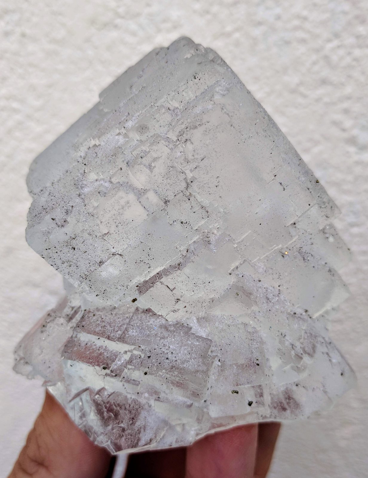 Fluorita, Pirita
6,7 x 6,5 x 7,0 cm
(Autor: carles)