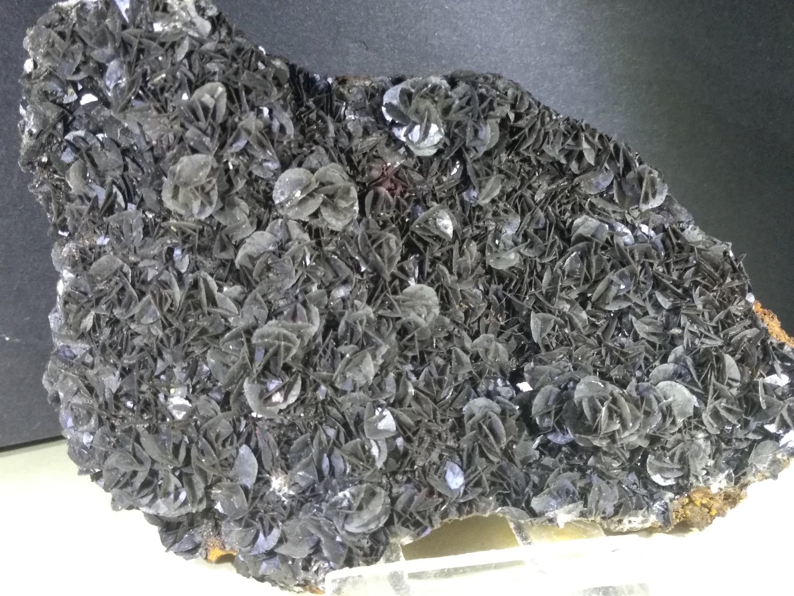 Calcita
120 x 73 mm
(Autor: Sante Celiberti)