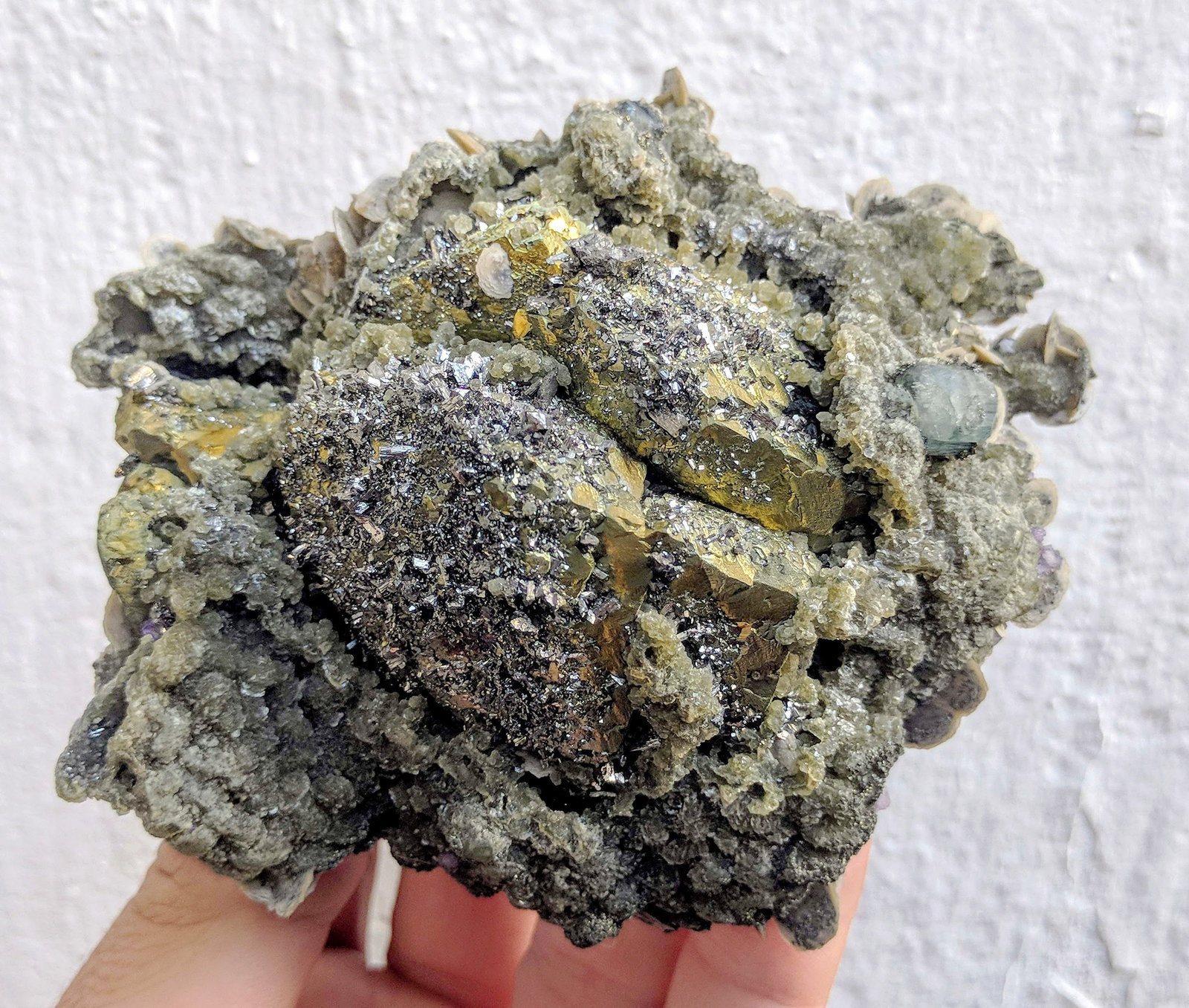 Calcopirita, Arsenopirita, Fluorapatito, Siderita, Moscovita, Fluorita
9,8 x 8,2 cm.
(Autor: carles)