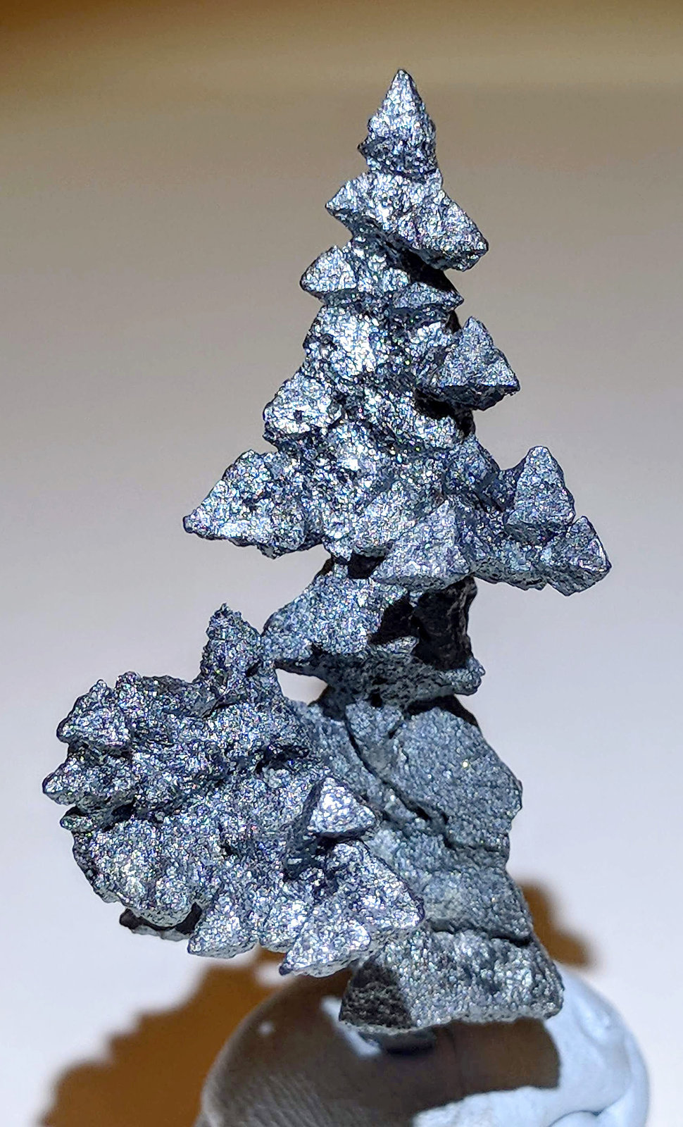 Acanthita (Acantita)
2,2 x 5,8 cm.
(Autor: carles)