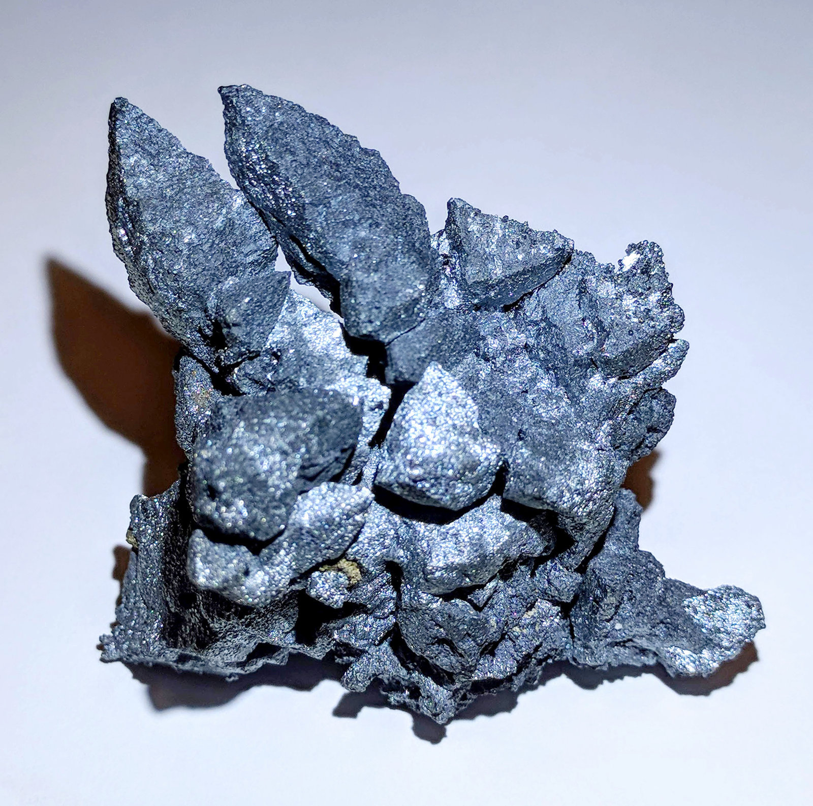 Acanthita (Acantita)
5,3 x 6,0 cm.
(Autor: carles)