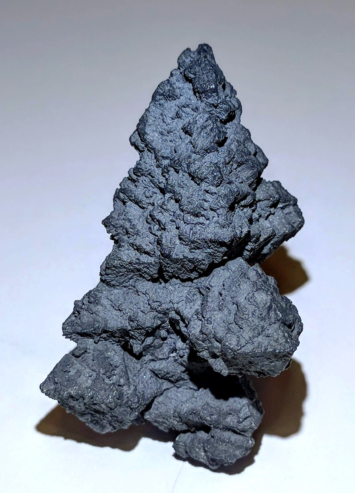 Acanthita (Acantita)
3,3 x 5,2 cm.
(Autor: carles)
