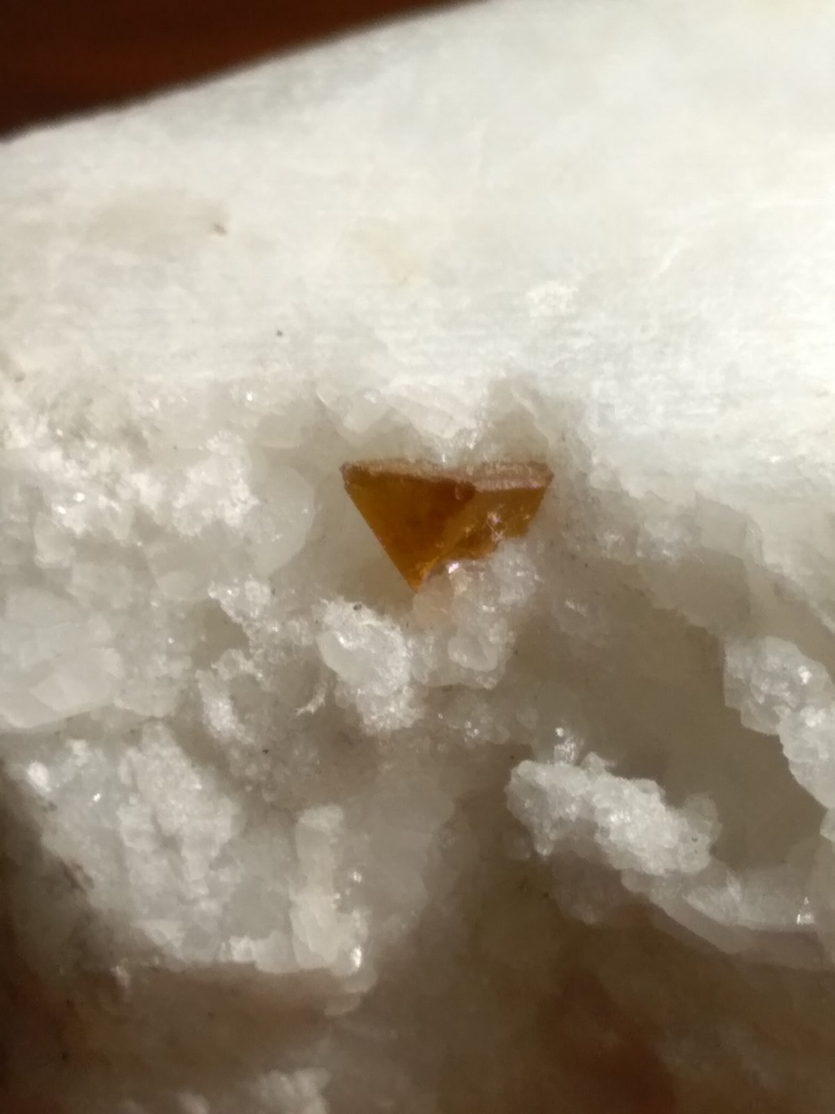 Esfalerita
53 x 31 mm
(Autor: Sante Celiberti)