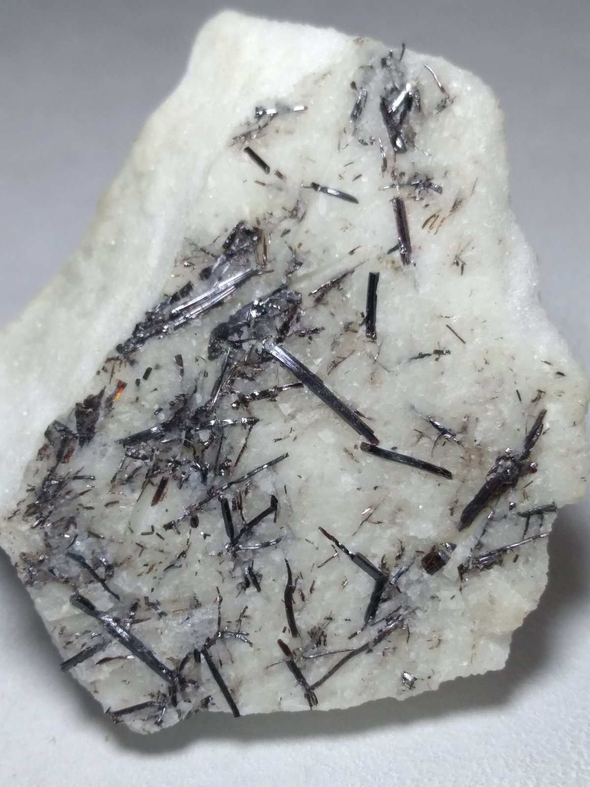 Rutilo
36 x 32 mm
(Autor: Sante Celiberti)