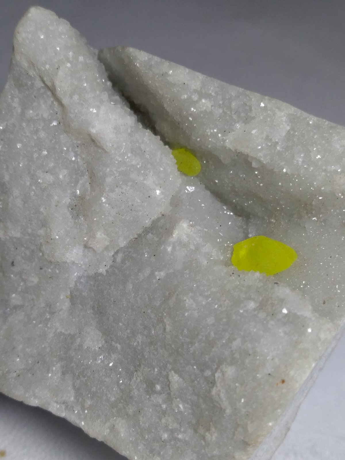 Azufre
39 x 33 mm
(Autor: Sante Celiberti)