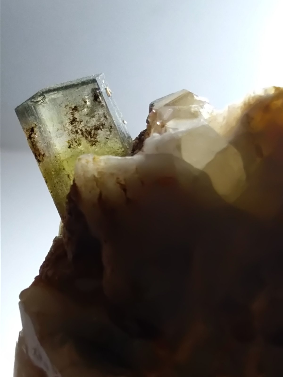 Elbaita, Cuarzo, Moscovita
43 x 43 mm
(Autor: Sante Celiberti)