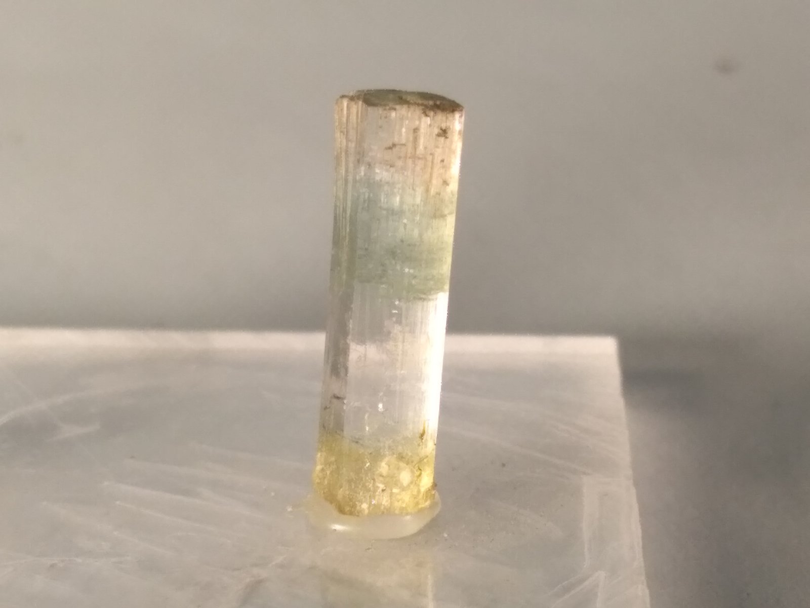 Berilo
15 x 4,5 mm
(Autor: Sante Celiberti)