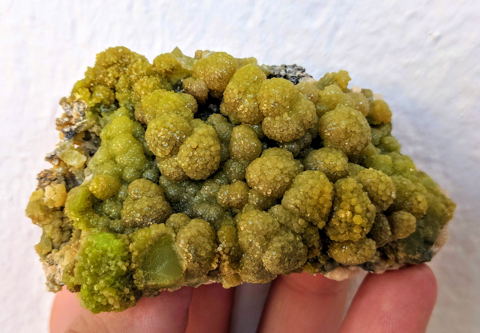 Piromorfita
8,0 x 4,8 cm.
(Autor: carles)