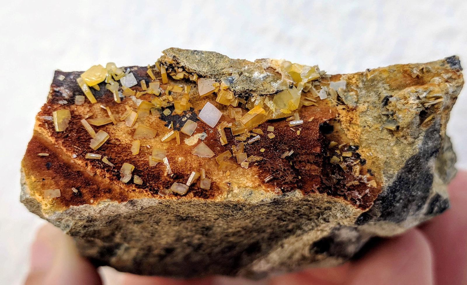 Wulfenita
6,7 x 6,5 cm.
(Autor: carles)