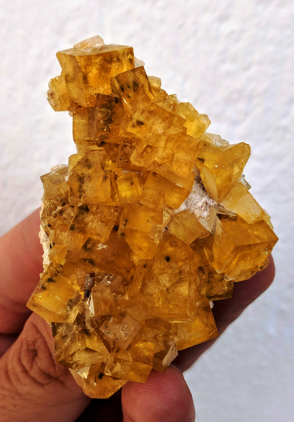 Fluorita
6,2 x 4,0 cm.
(Autor: carles)