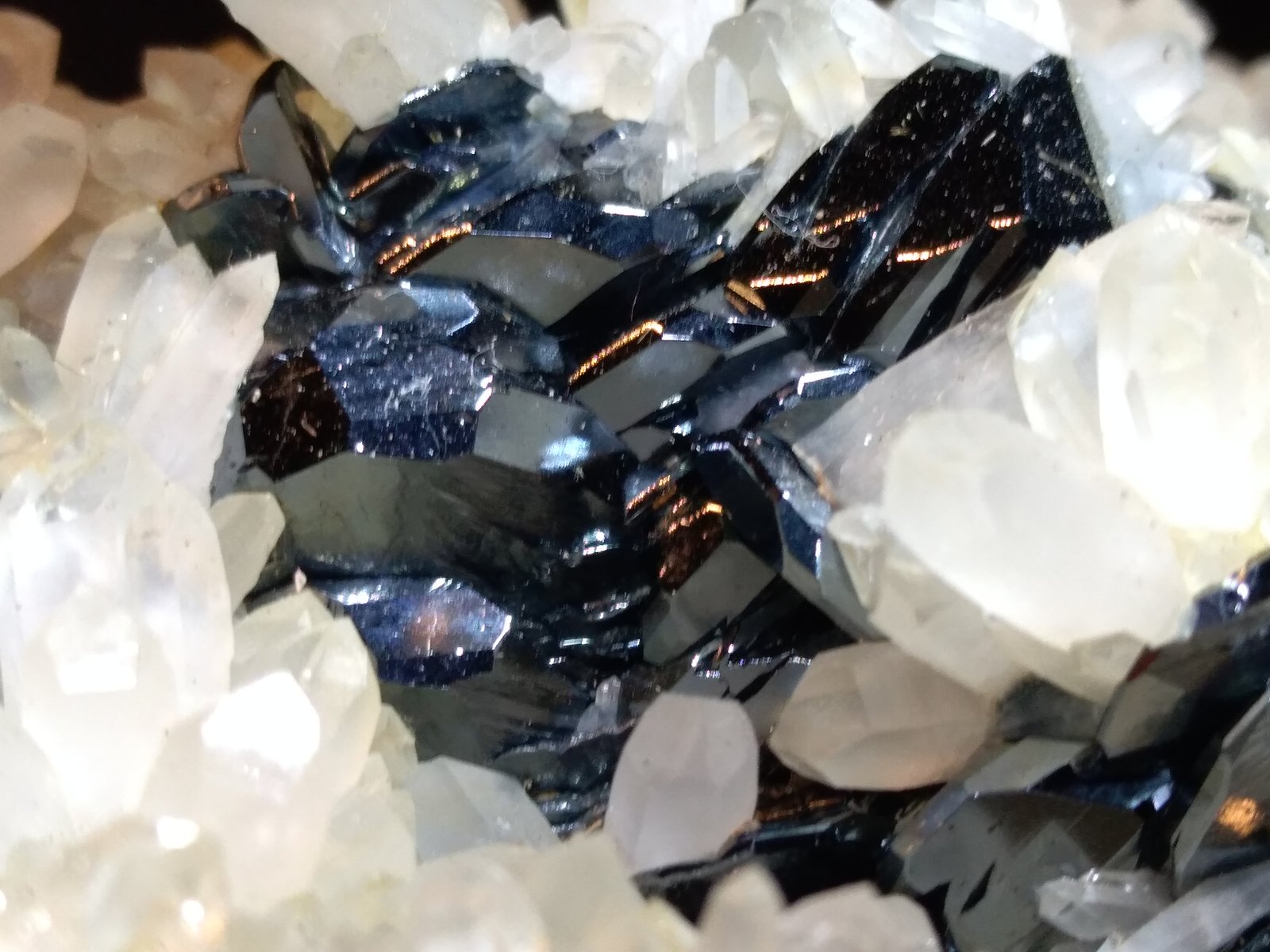 Hematites, Cuarzo
76 x 76 mm
(Autor: Sante Celiberti)