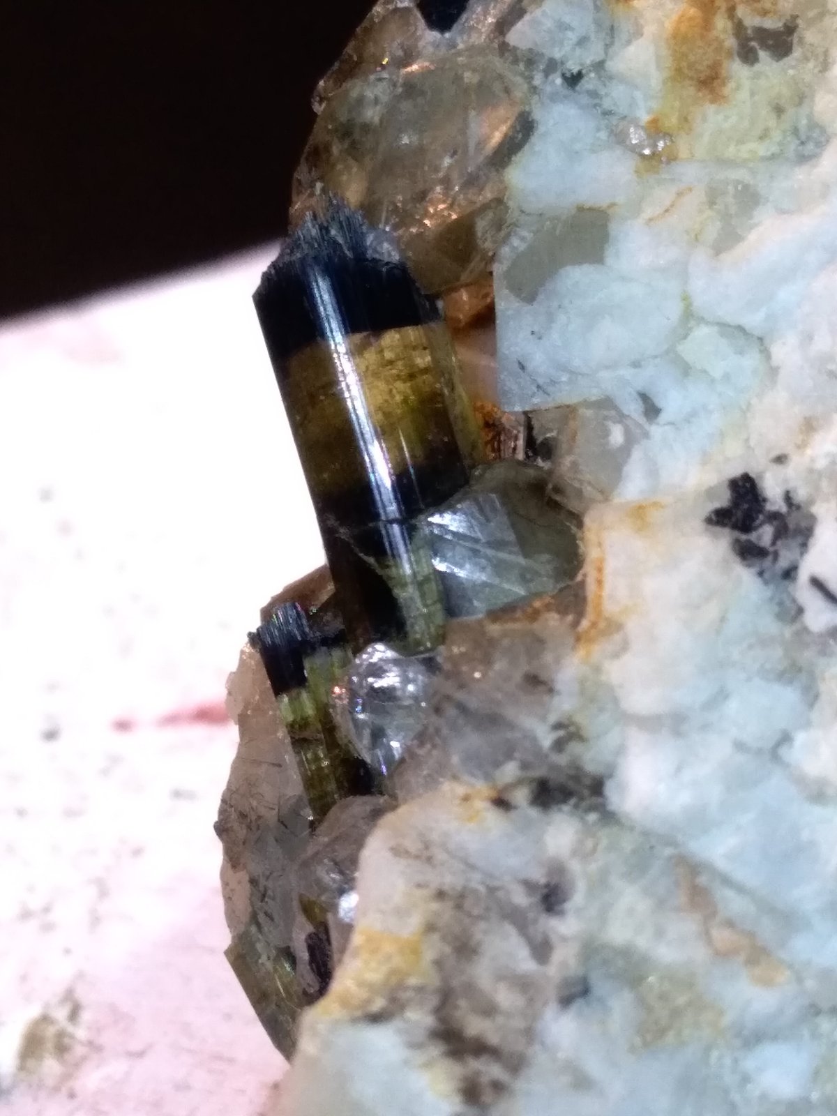 Elbaita
43 x 28 mm
(Autor: Sante Celiberti)