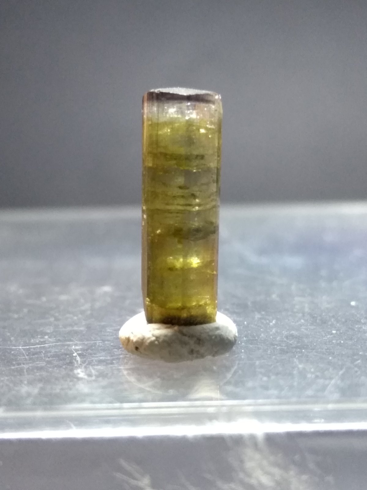 Elbaita
14 x 4,5 mm
(Autor: Sante Celiberti)