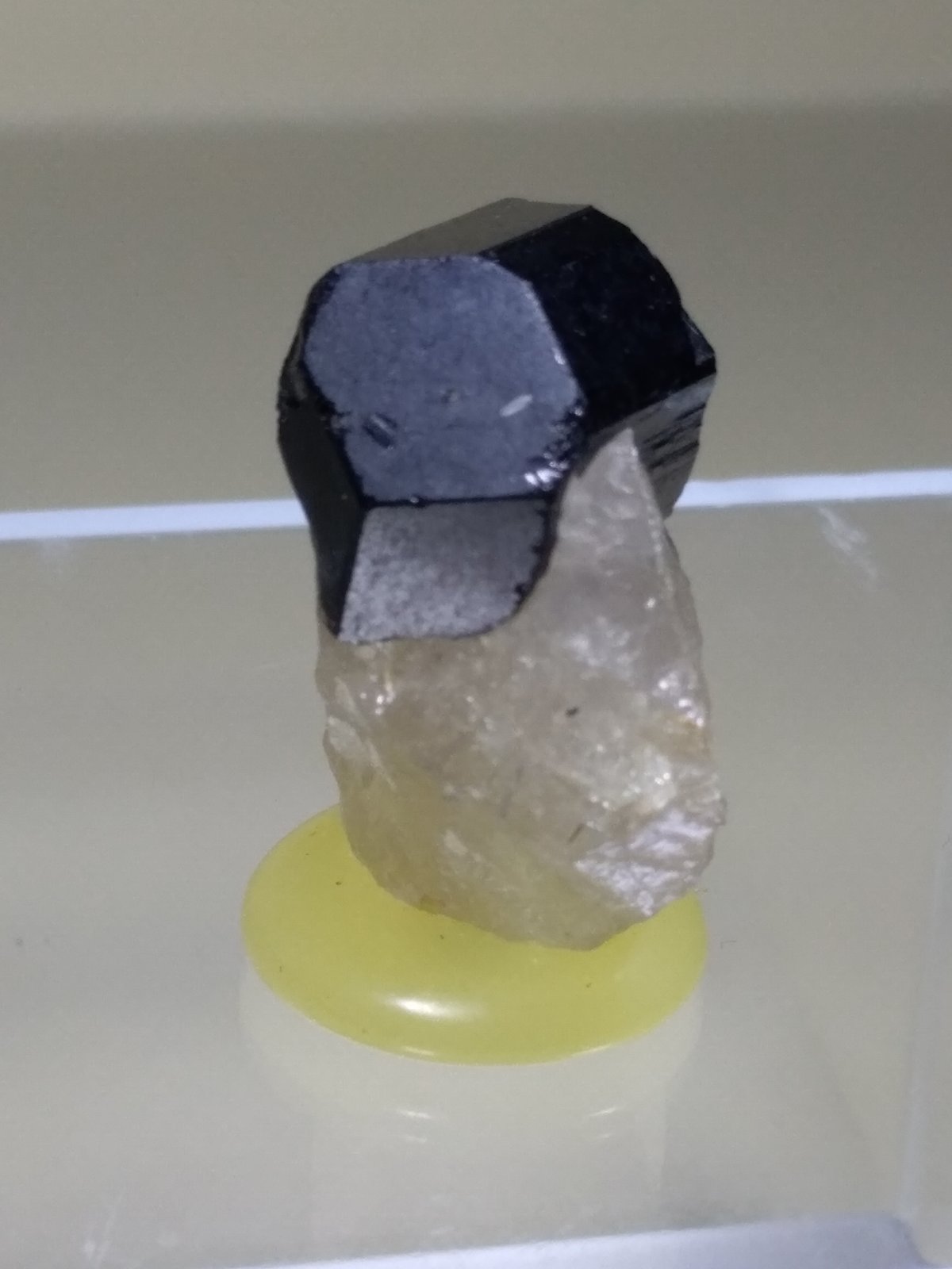Schorlo
30 x 23 mm
(Autor: Sante Celiberti)