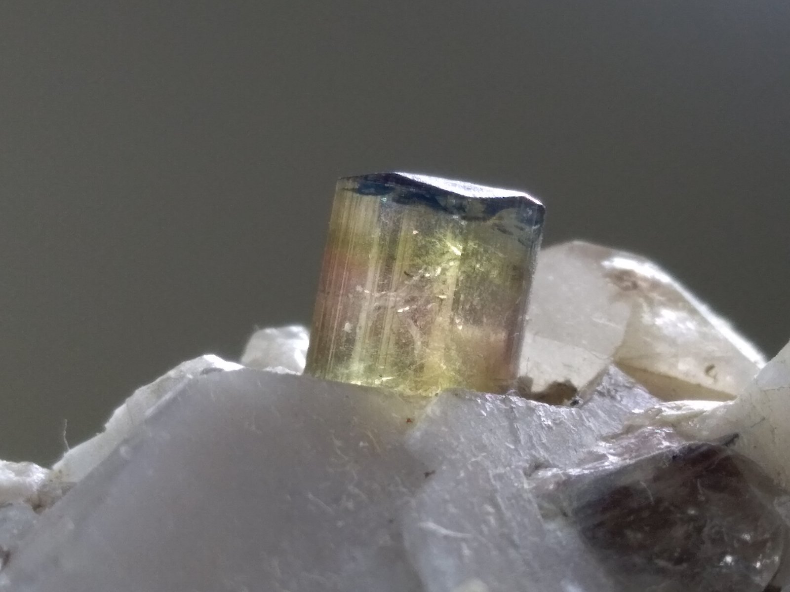 Elbaita, Cuarzo, Ortoclasa
53,4 x 40,2 mm
(Autor: Sante Celiberti)