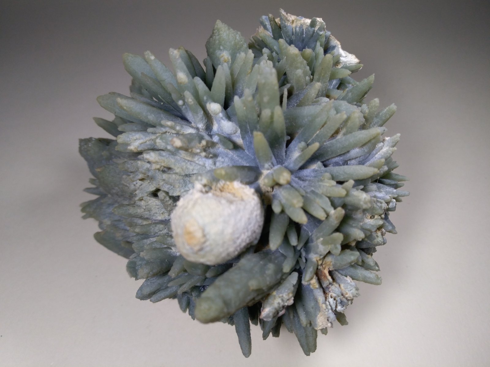 Cuarzo (variedad prasio)
120 x 105 mm
(Autor: Sante Celiberti)