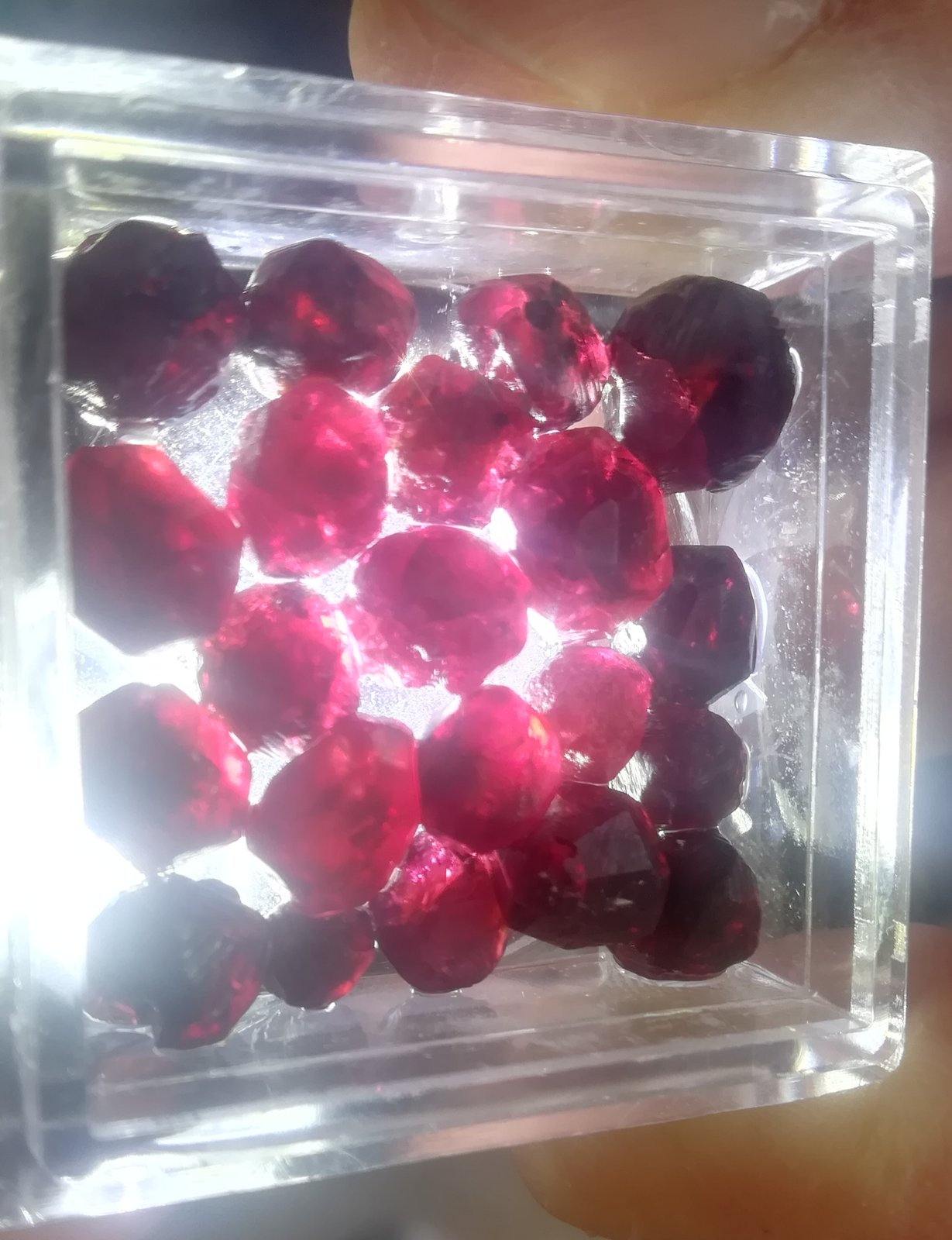 Granate (Grupo)
8mm - 12mm
(Autor: enrico_del_cabo)
