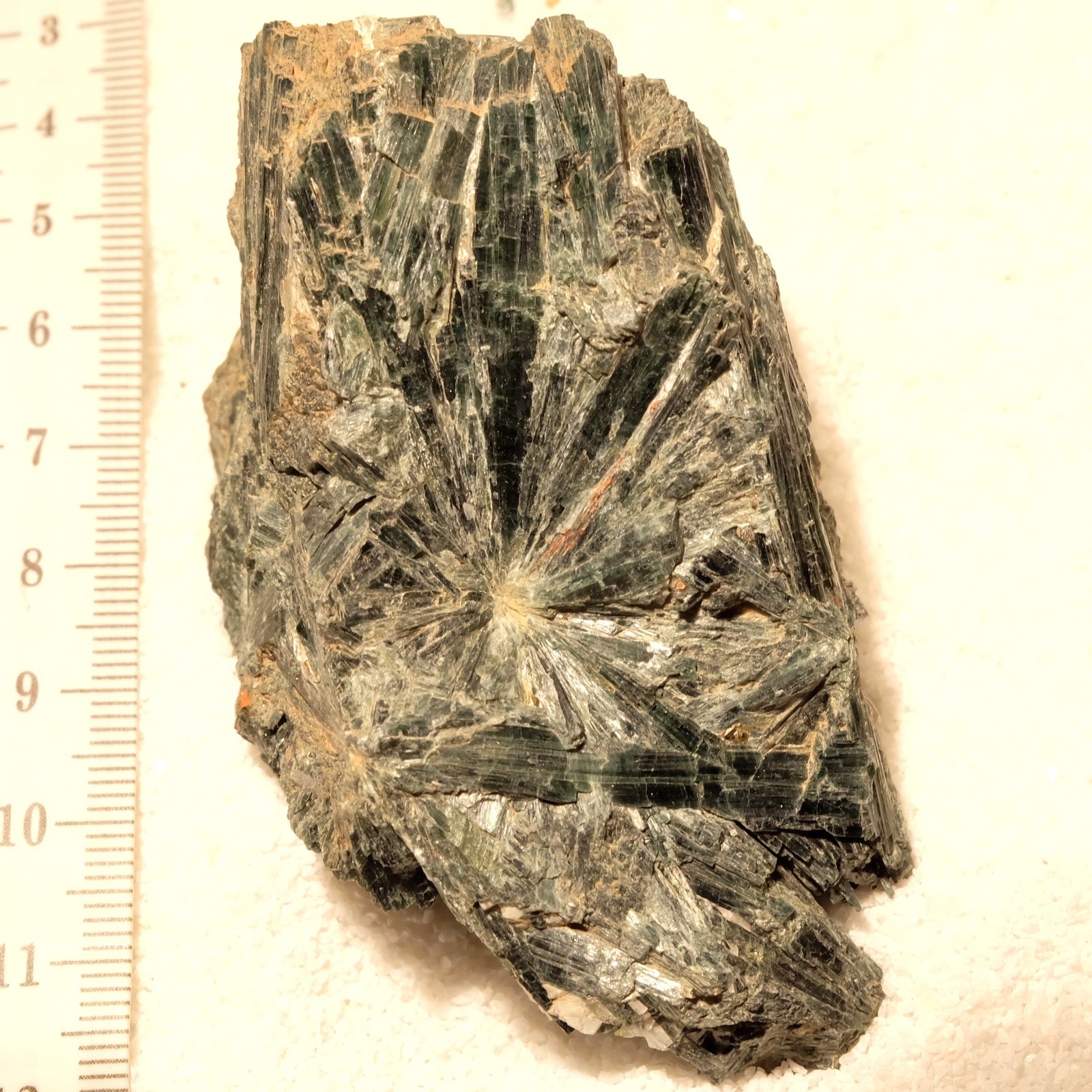 Actinolita
7cm x 5cm
(Autor: enrico_del_cabo)