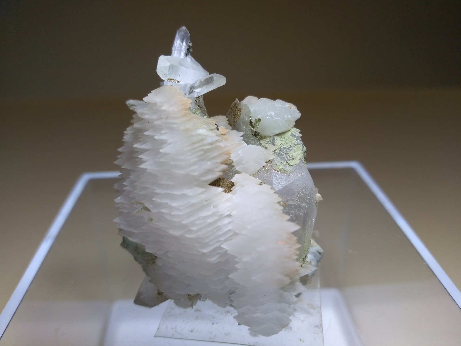 Calcita, Cuarzo
42,6 x 33 mm
(Autor: Sante Celiberti)