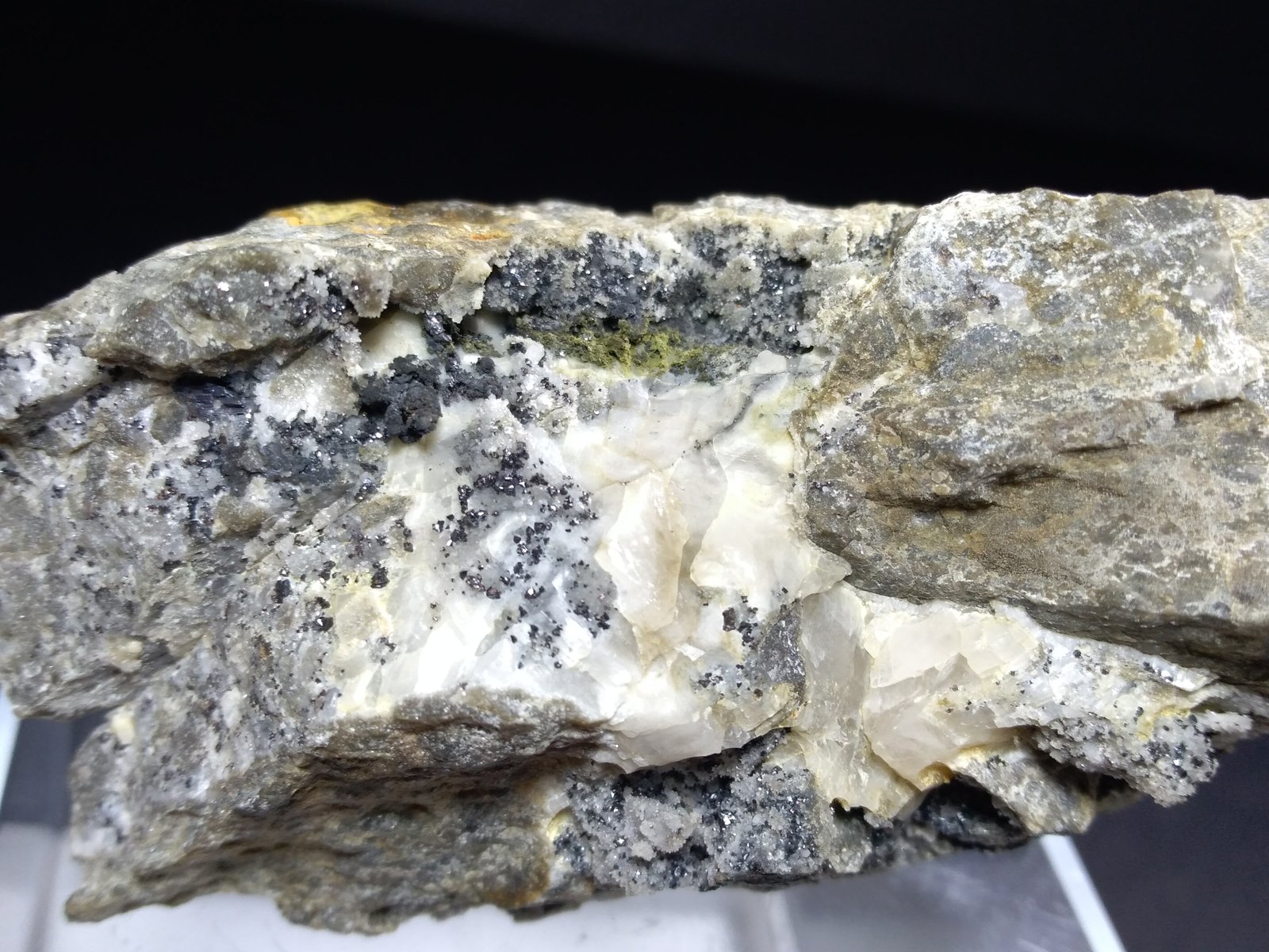 Plata, Acantita
78,5 x 56 mm
(Autor: Sante Celiberti)