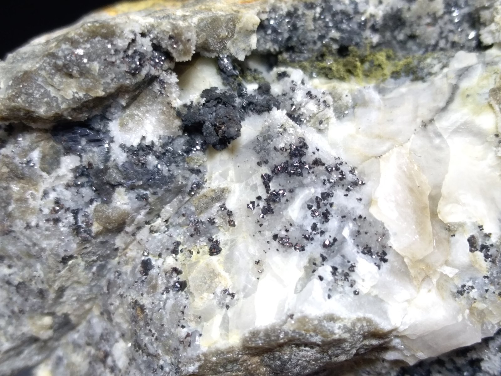 Plata, Acantita
78,5 x 56 mm
(Autor: Sante Celiberti)
