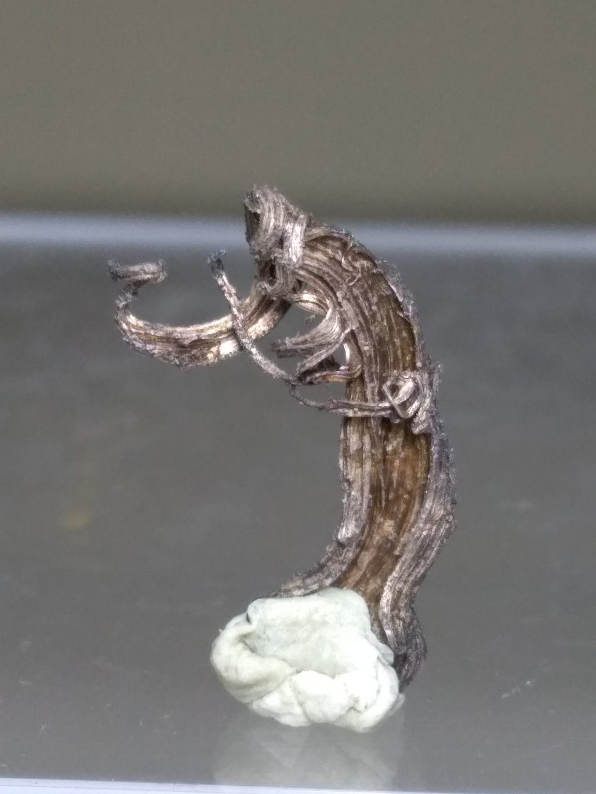 Plata
16 x 10 mm
(Autor: Sante Celiberti)