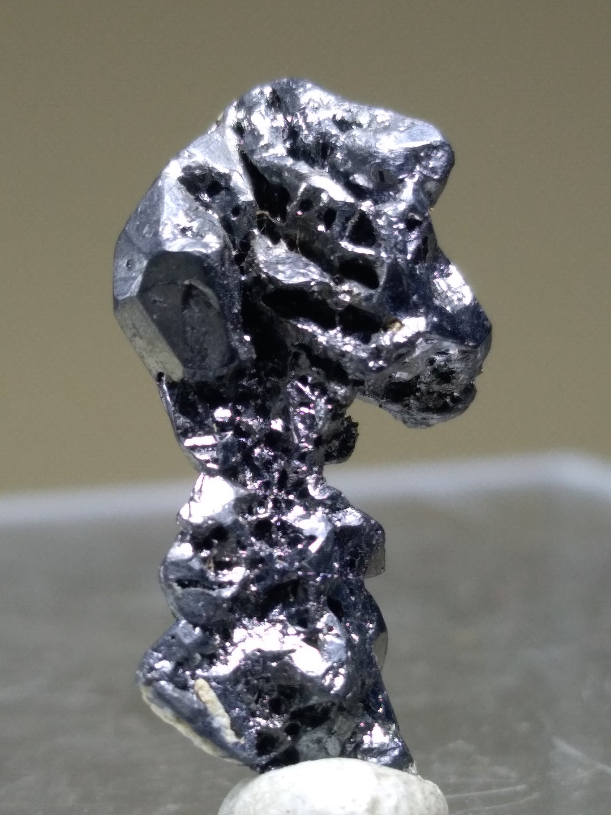 Acantita
18 x 10,3 mm con el cristal mayor de 9 mm
(Autor: Sante Celiberti)
