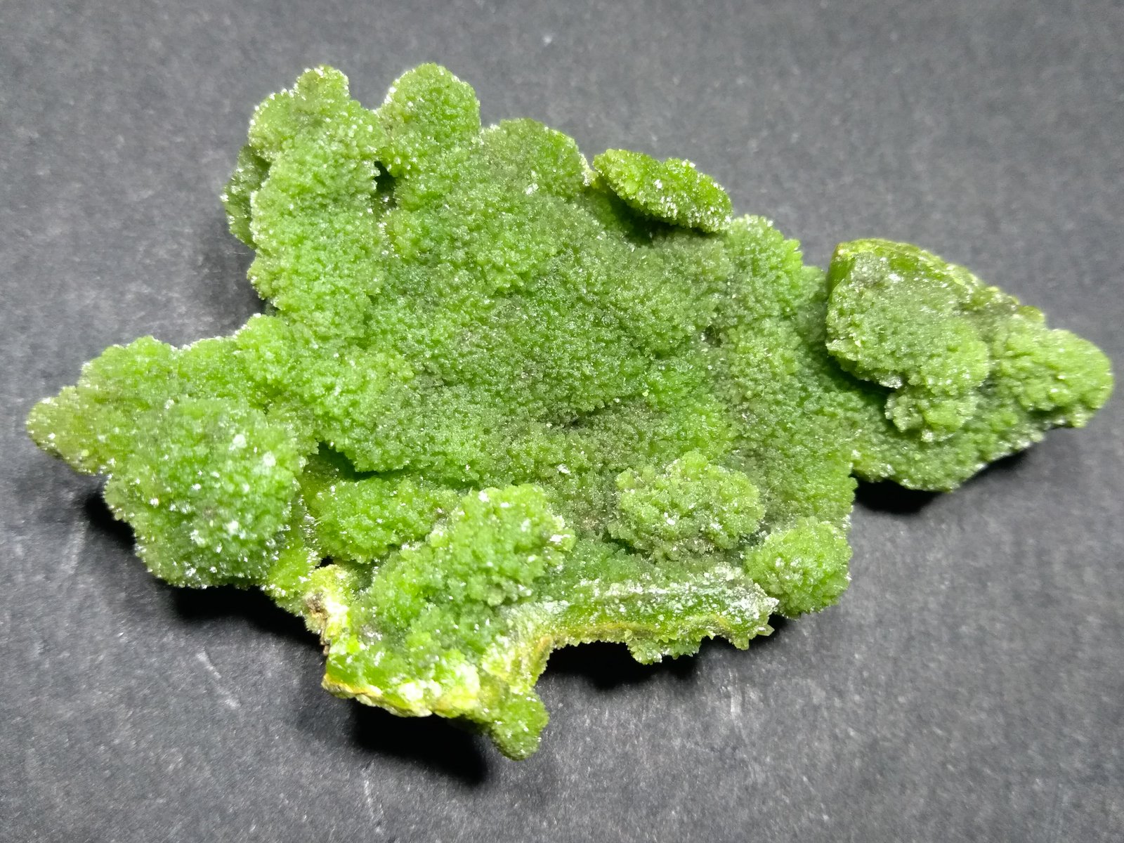 Piromorfita
49 x 30,5 mm
(Autor: Sante Celiberti)