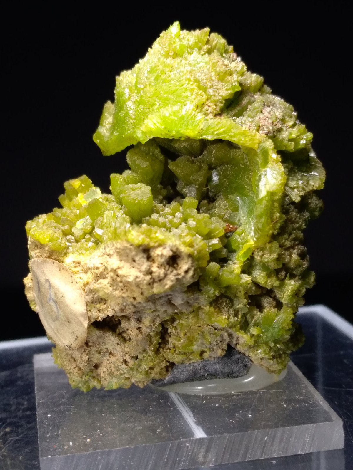 Piromorfita
35,6 x 31,3 mm
(Autor: Sante Celiberti)