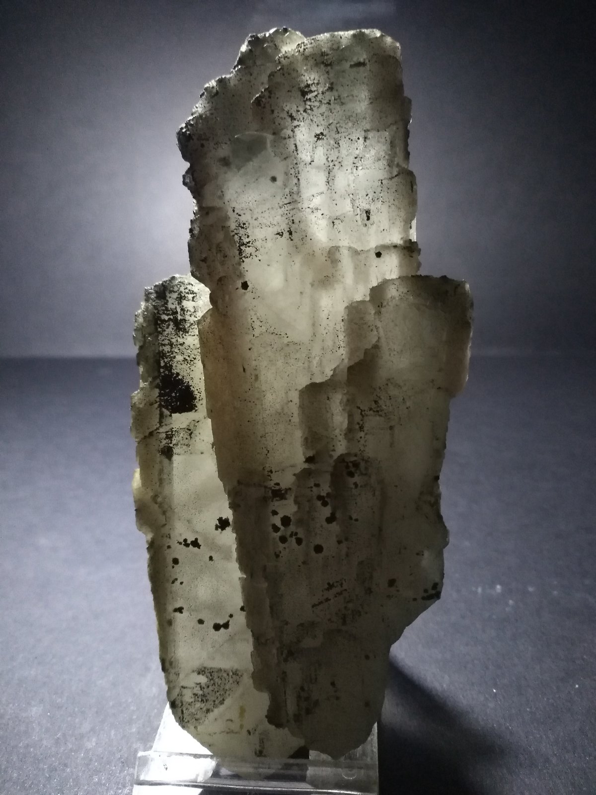 Barita, Galena
123 x 57 mm
(Autor: Sante Celiberti)