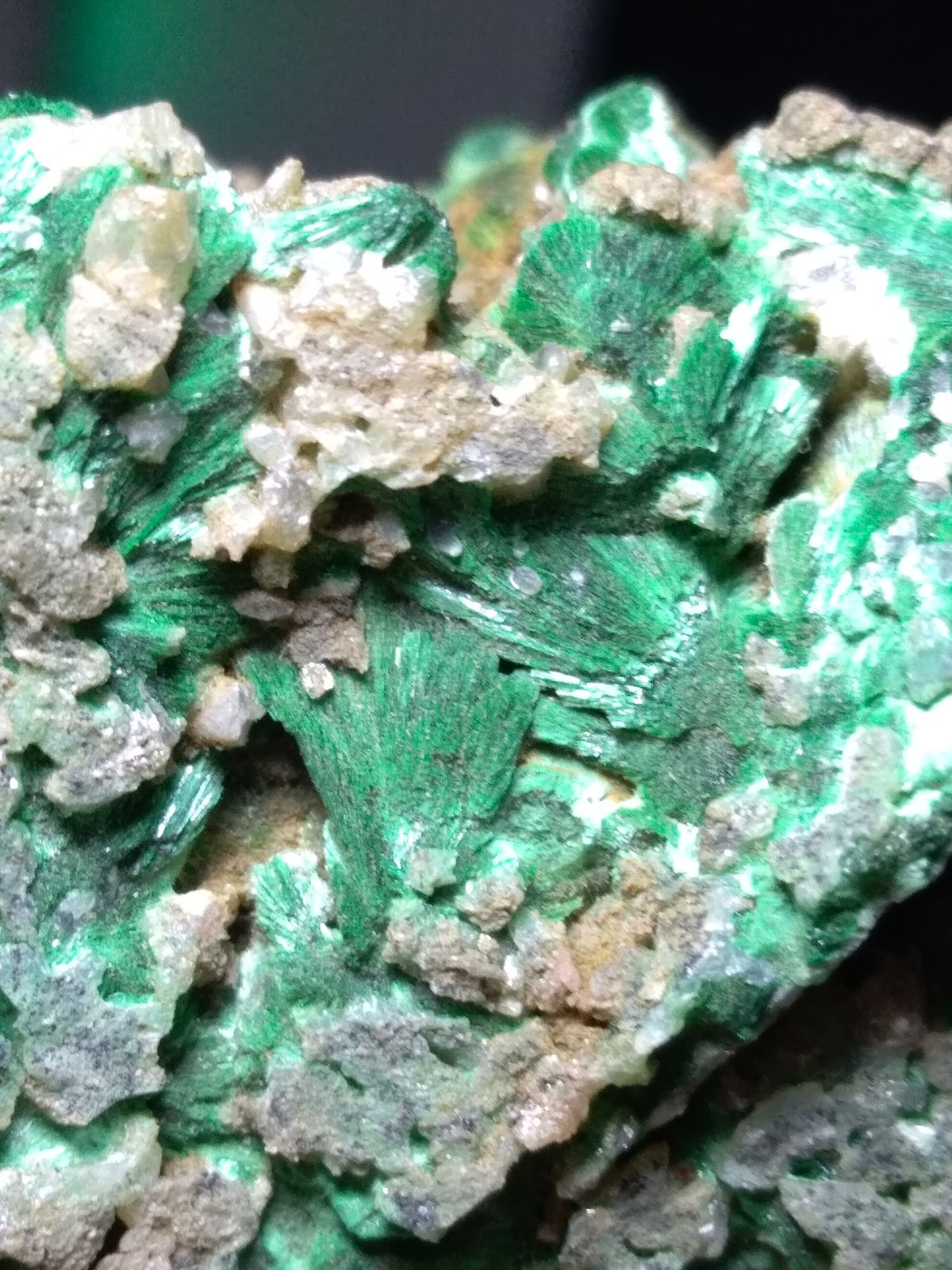 Malaquita, Cerusita
56,4 x 41,5 mm
(Autor: Sante Celiberti)