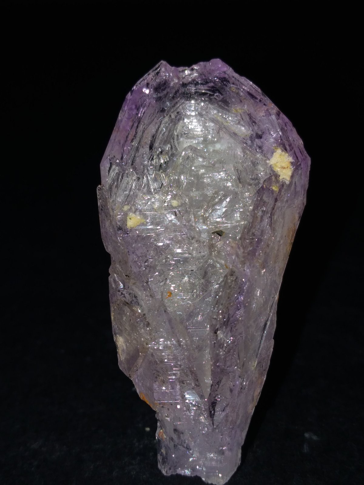 Cuarzo (variedad amatista)
43 x 21 mm
(Autor: Sante Celiberti)