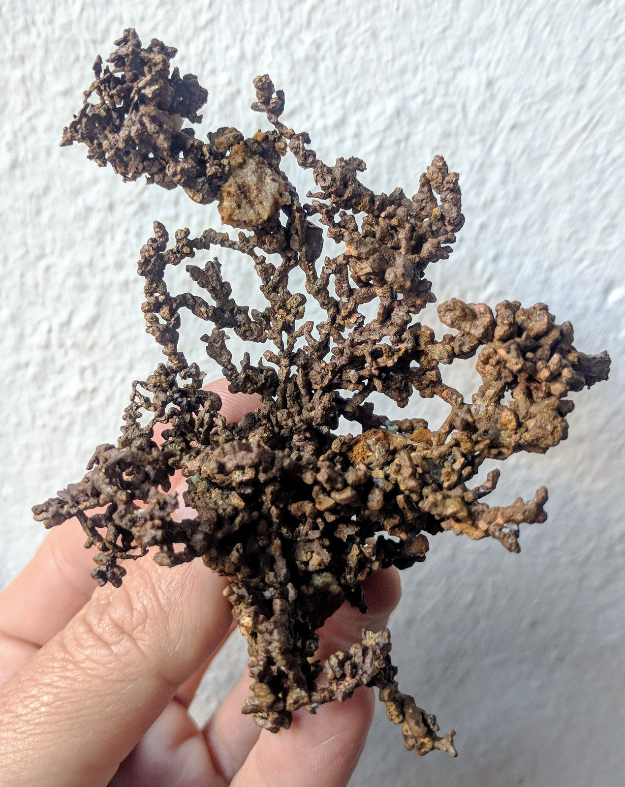 Cobre
7,5 x 10,4 cm.
(Autor: carles)