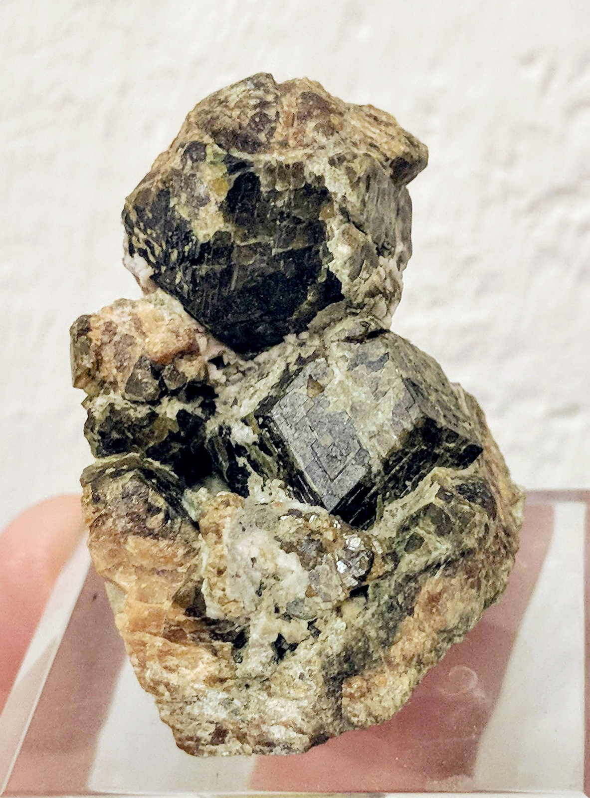 Andradita (Grupo Granate), Feldespato
3,9 x 2,7 cm.
(Autor: carles)