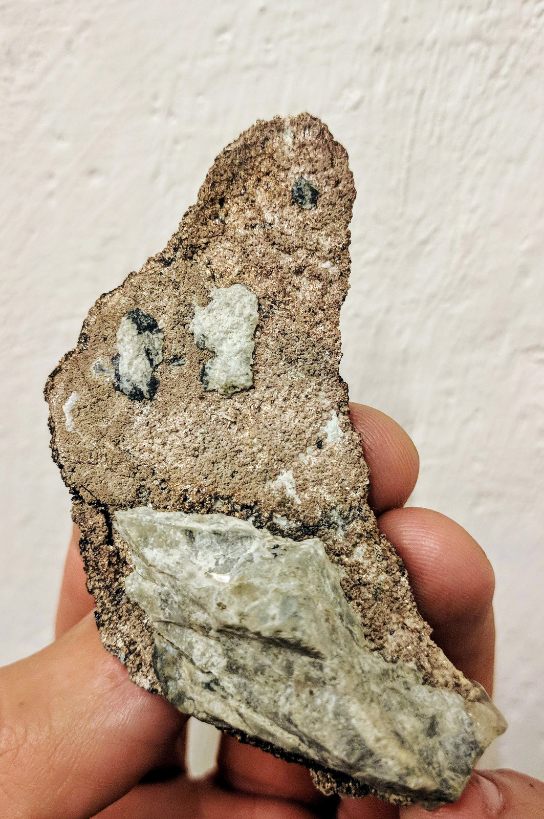Plata, Acanthita (Acantita)
7,5 x 3,5
(Autor: carles)