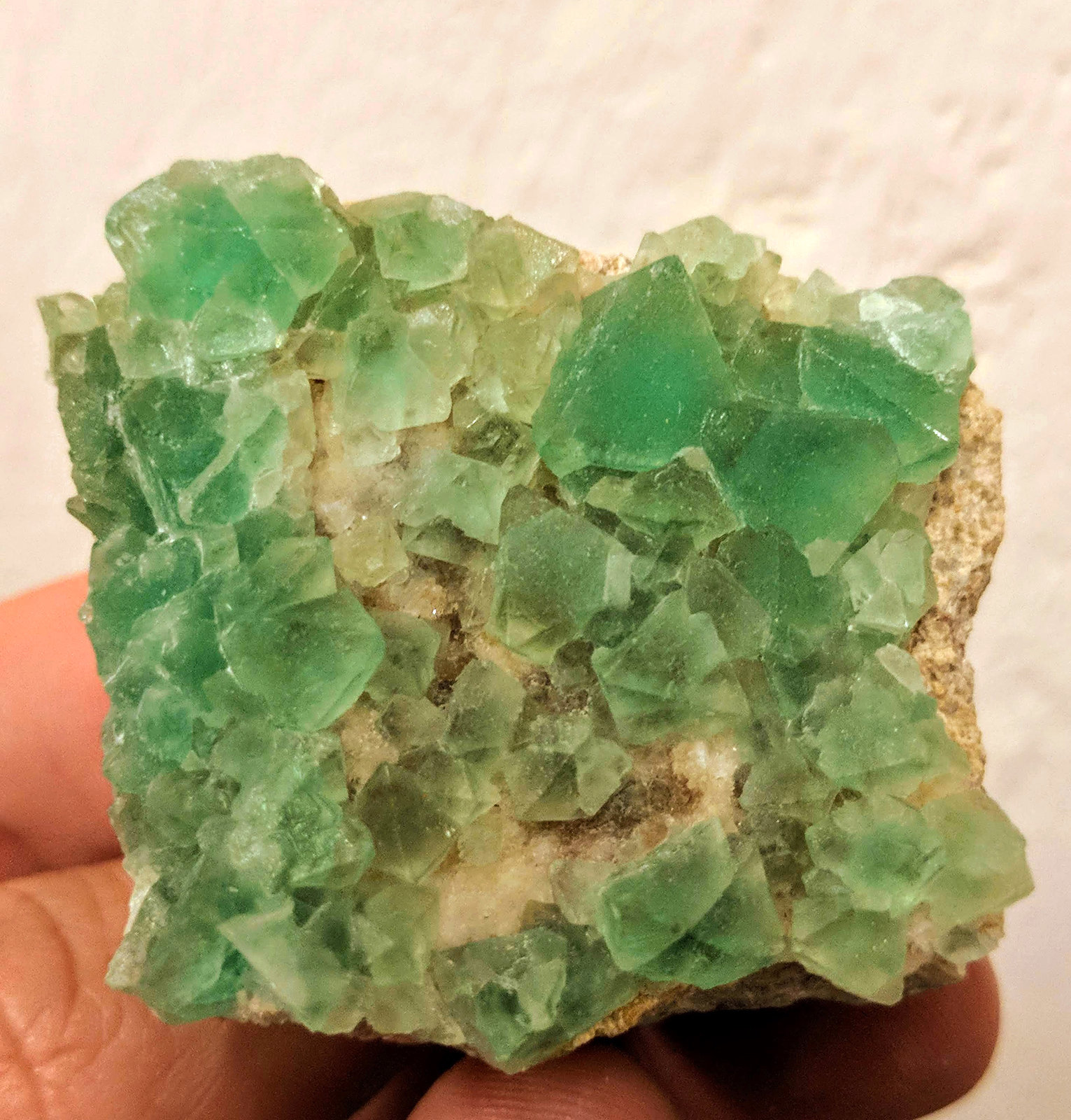 Fluorita
4,7 x 4,2 cm.
(Autor: carles)