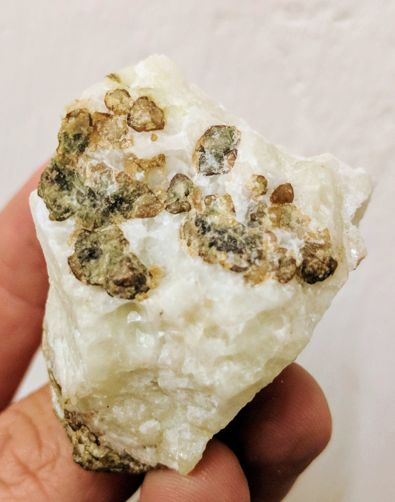 Grosularia (Grupo Granate), Prehnita
4,5 x 3,8 cm.
(Autor: carles)