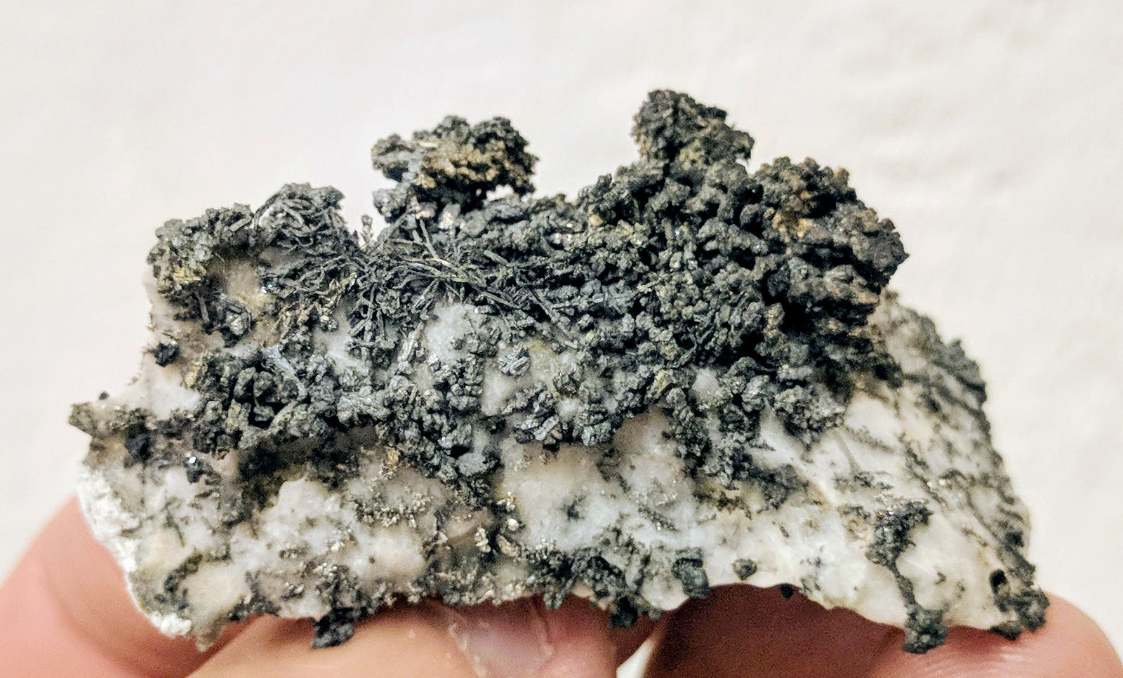 Plata, Acanthita (Acantita)
5,7 x 3,5 cm.
(Autor: carles)