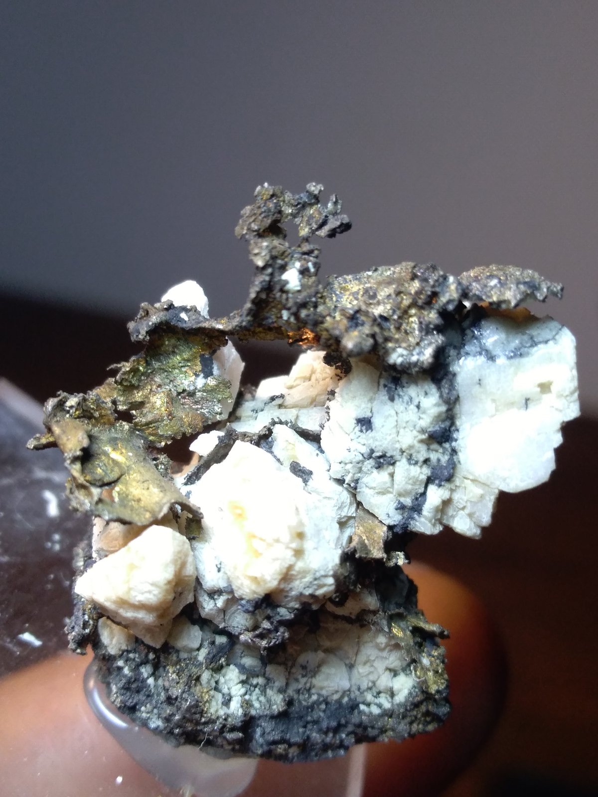 Plata, Acanthita
30 x 25 mm
(Autor: Sante Celiberti)