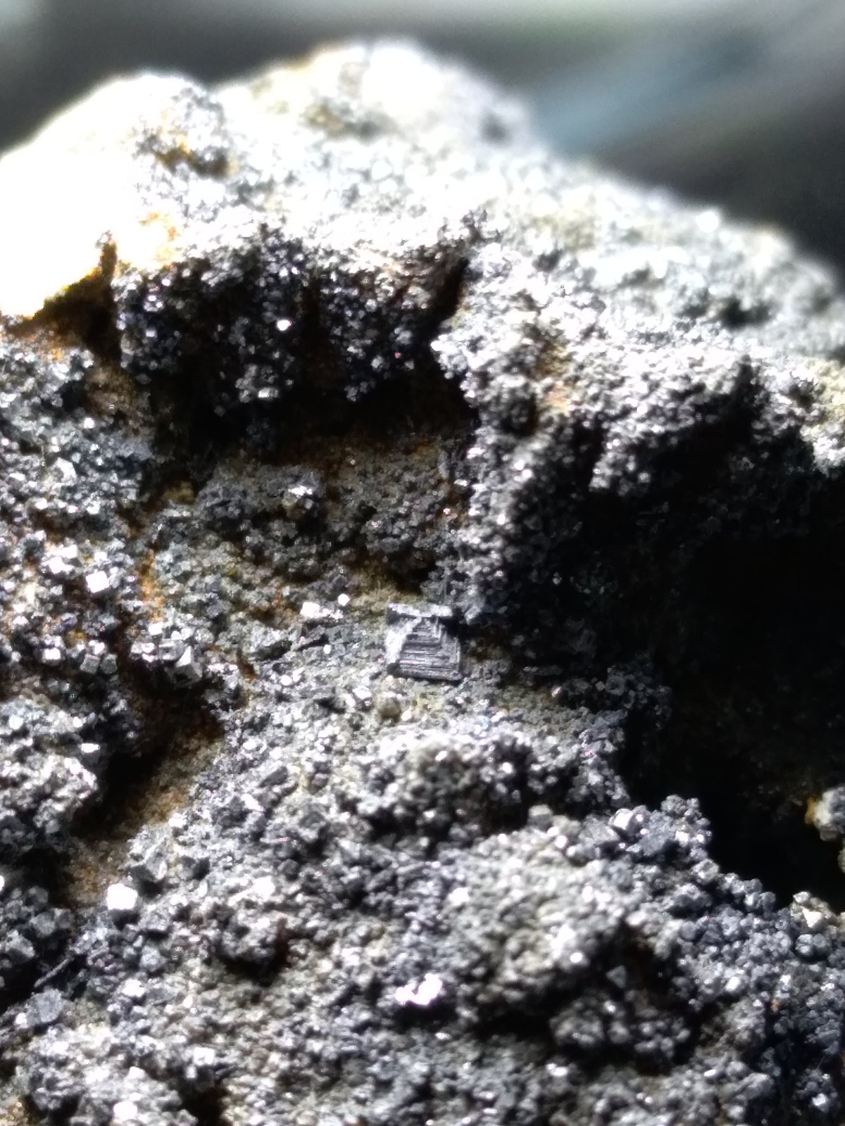Acanthita pseudomorfica de Argentita
52 x 30 mm
(Autor: Sante Celiberti)
