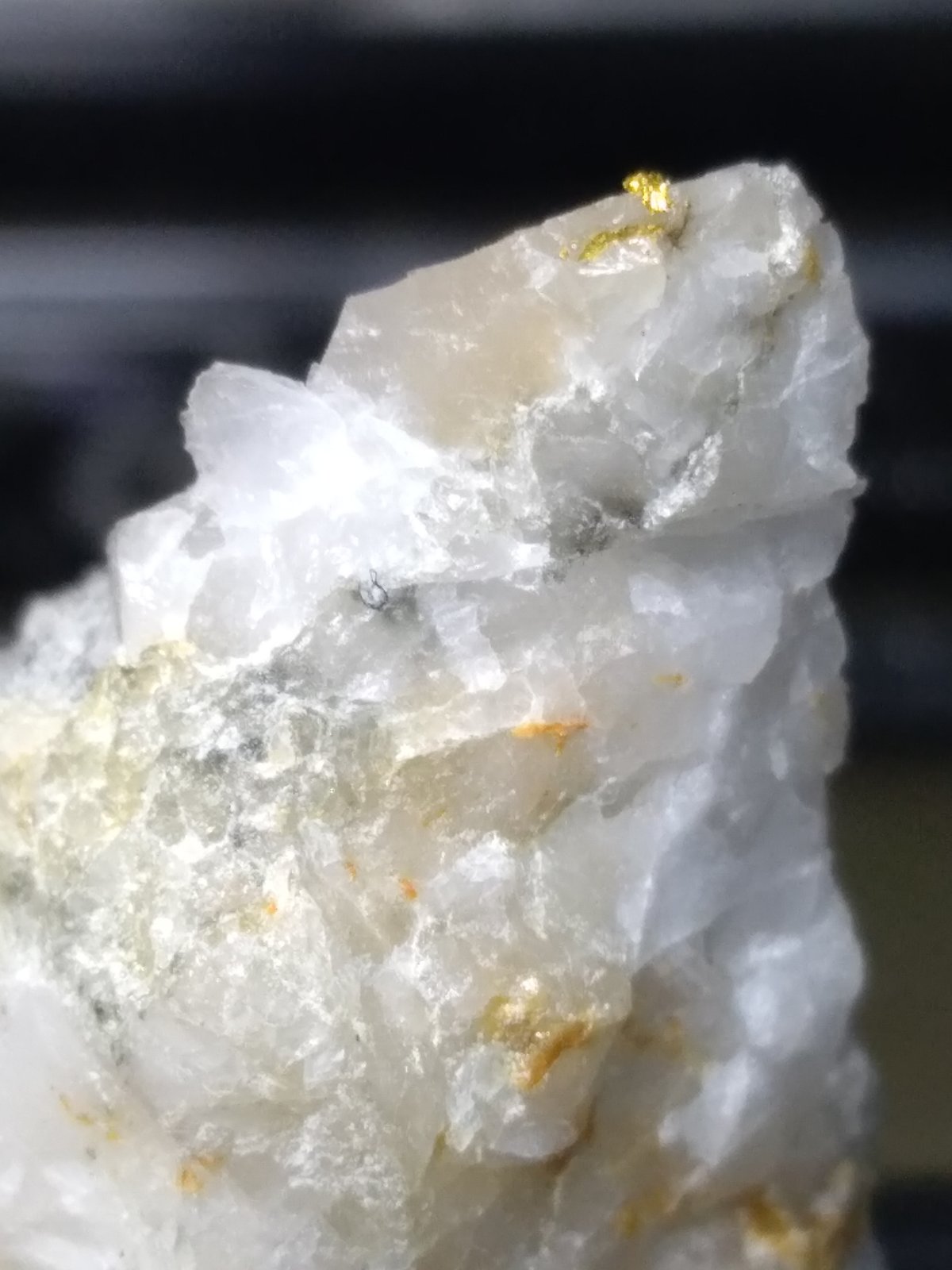 Oro
32 x 23 mm
(Autor: Sante Celiberti)
